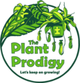 | The Plant Prodigy | Apparel Shop